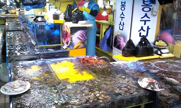 전국종합어시장 이미지