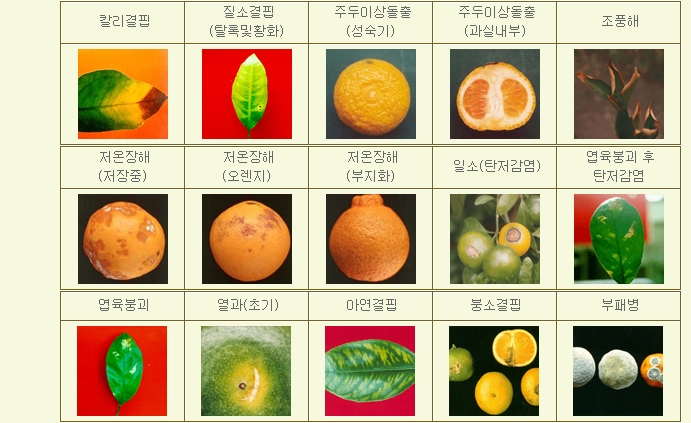 그린비료 이미지