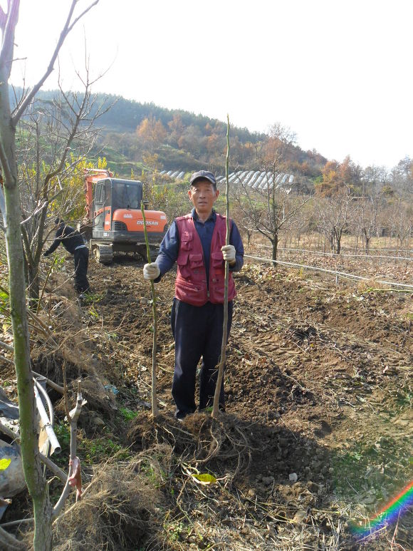 삼삼사 이미지