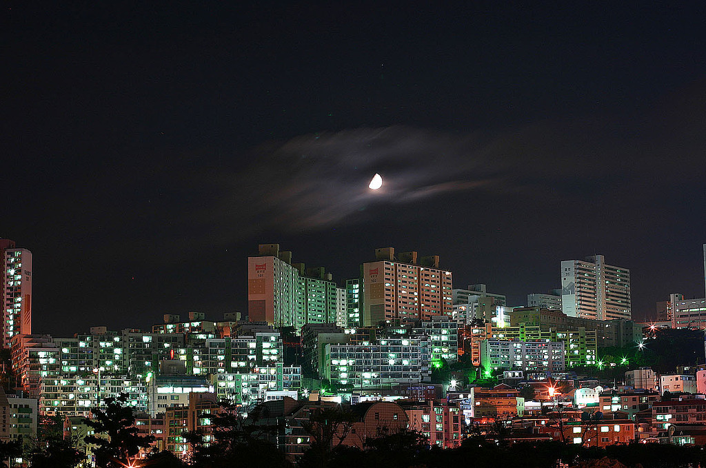 동삼이네 이미지