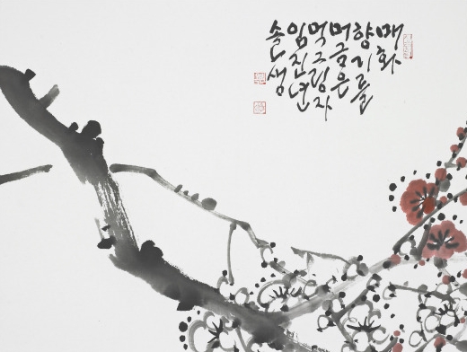 솔샘 이미지