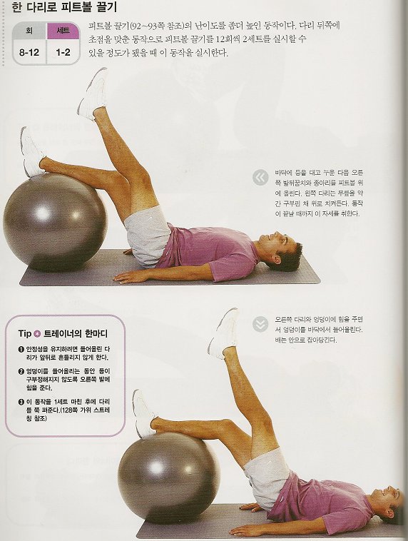 브릿지 이미지