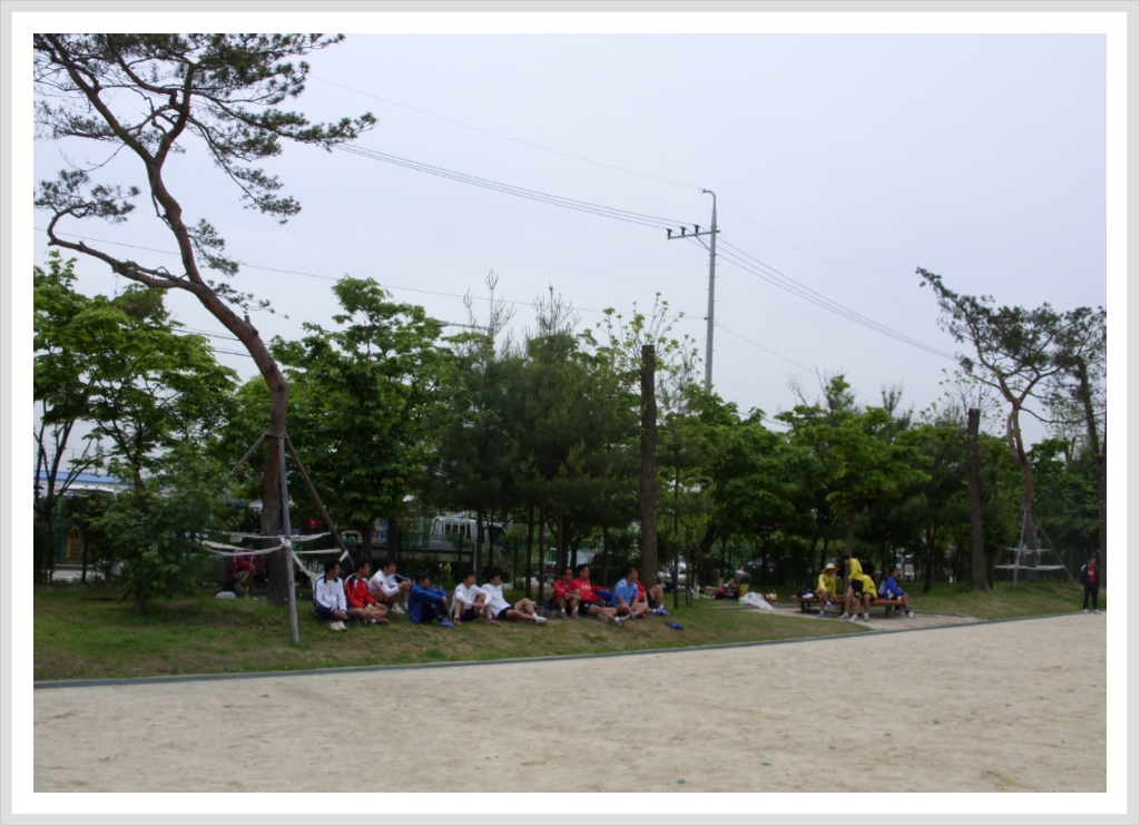 안룡초등학교 이미지