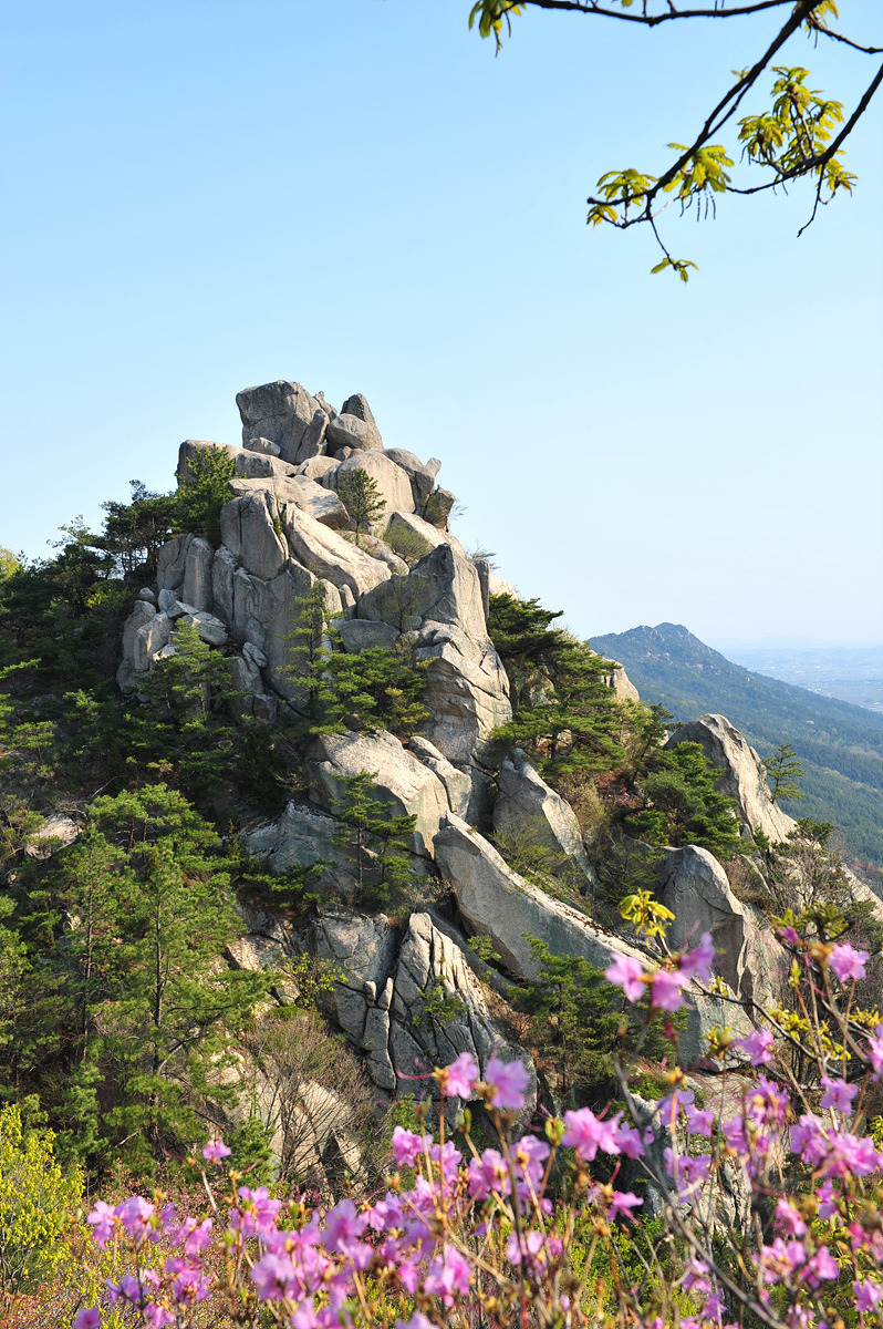 맑은바람 이미지