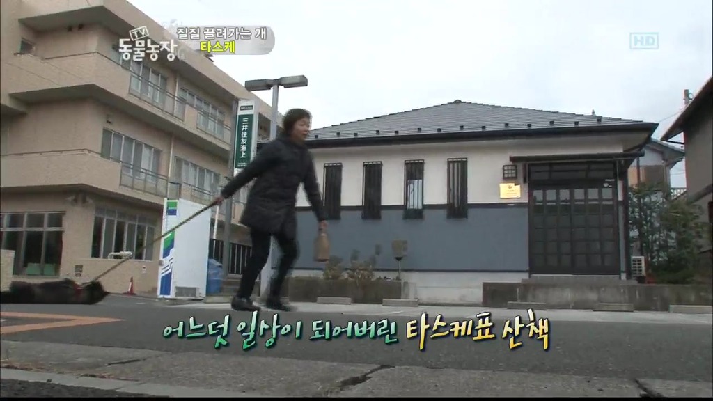 [동물농장] 목줄로 질질 끌려다니는 개.JPG | 인스티즈