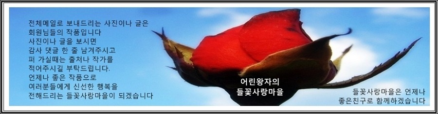 한라산석유 이미지