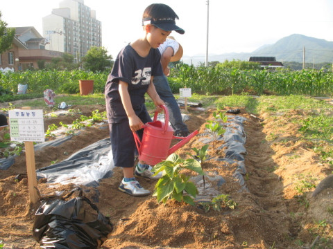 가산골농장 이미지