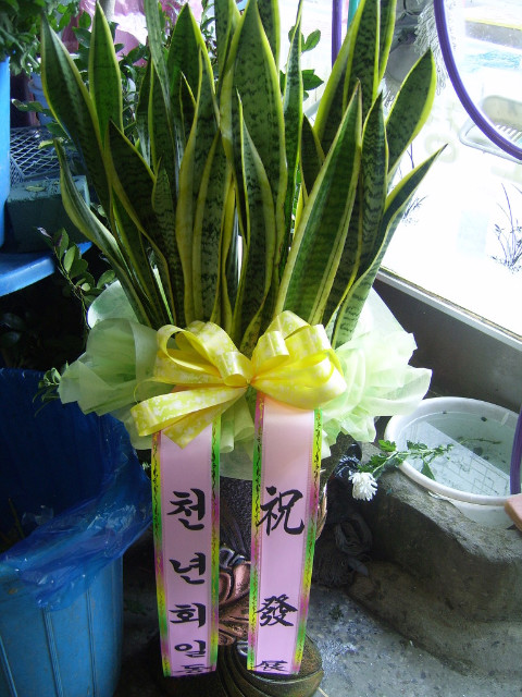 미림식당 이미지