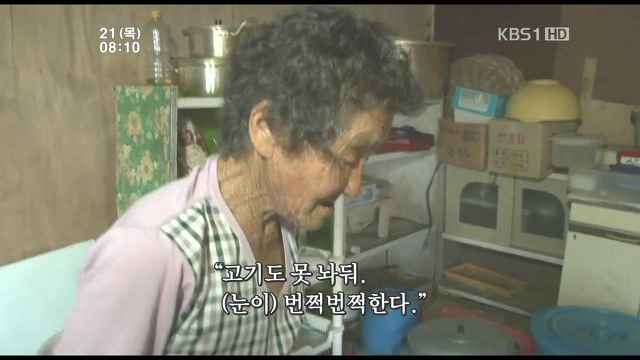고양이 구박하는 훈할머니.JPG | 인스티즈