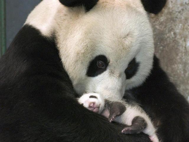 울엄마국집 이미지