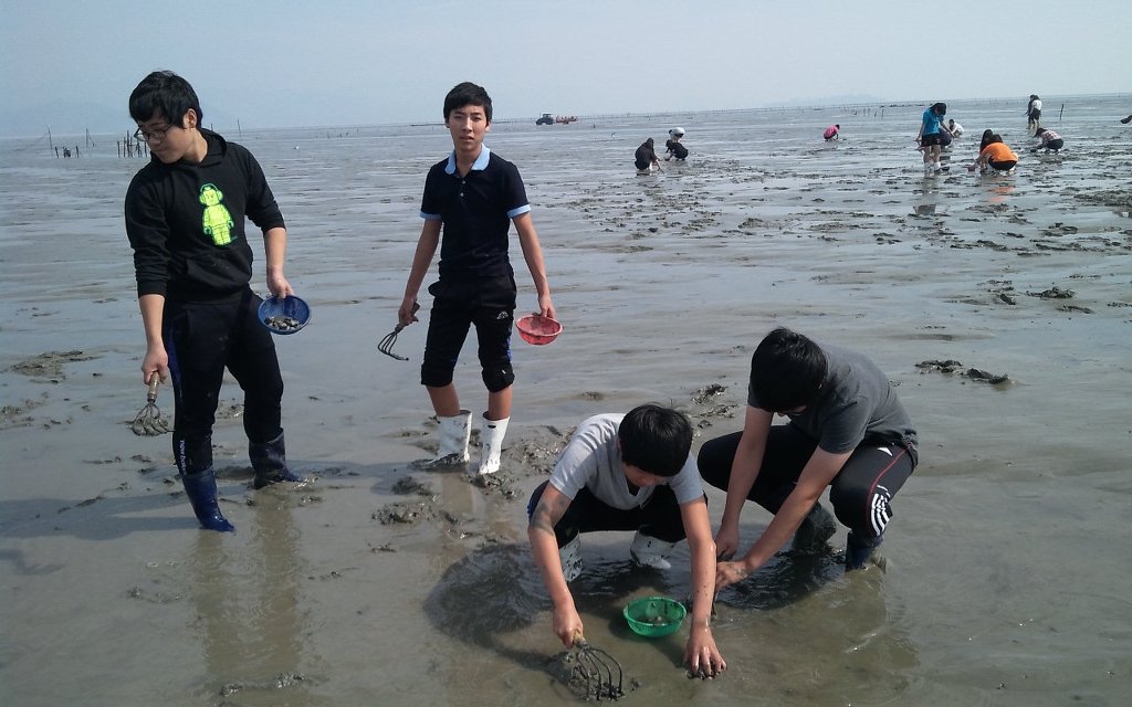 갯벌탐사 이미지