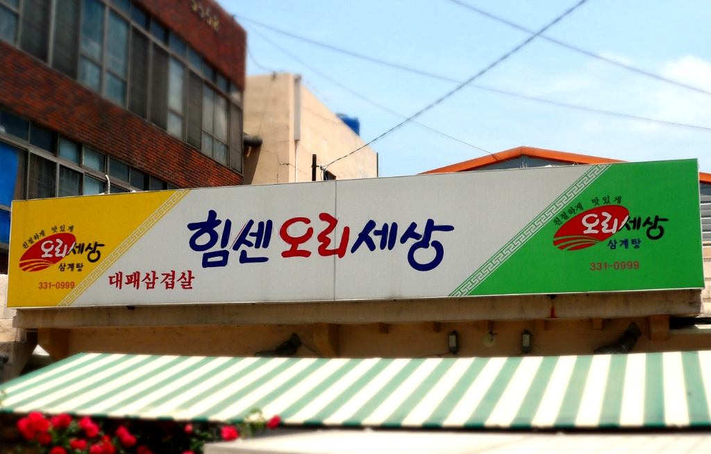 오리세상 이미지