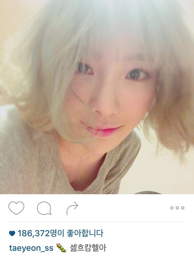 탱스타 | 인스티즈