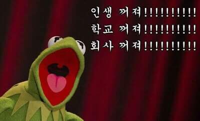 인생이 짜증날때 보면 좋은 짤 모음.jpg | 인스티즈