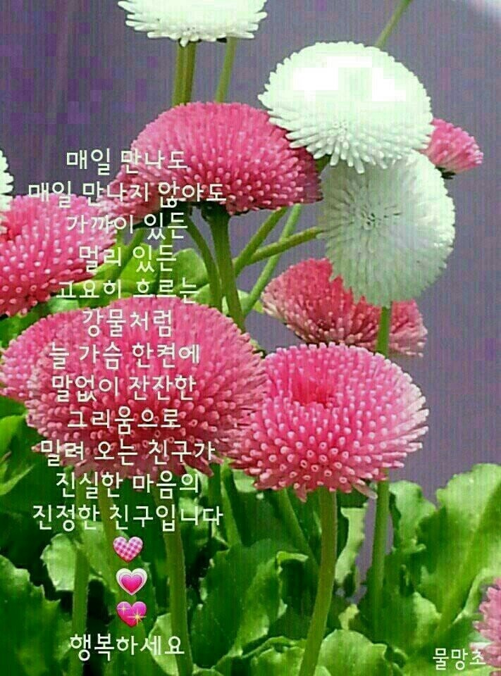 오늘은 이미지