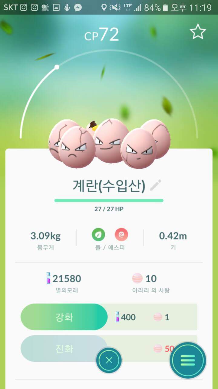 포켓몬고 흔한 포켓몬들의 작명 | 인스티즈