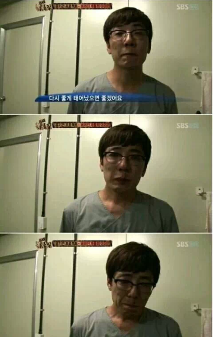 유기견을 안락사시키는 수의사들의 심정 | 인스티즈