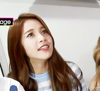 꼬부기들.GIF | 인스티즈