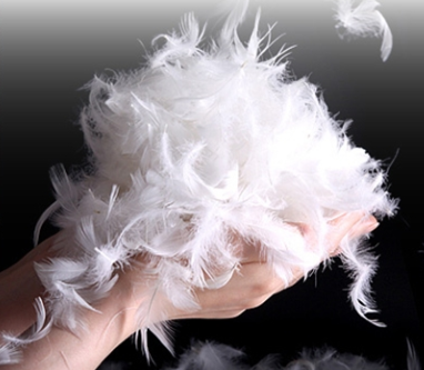 모르는 것은 죄가 아니다. 그러나 알고자 하지 않는 것은 죄다 | 인스티즈