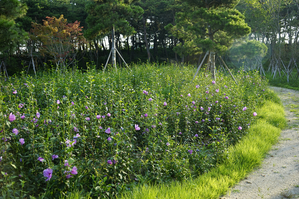 2118173B55DDB7B21F5C1B