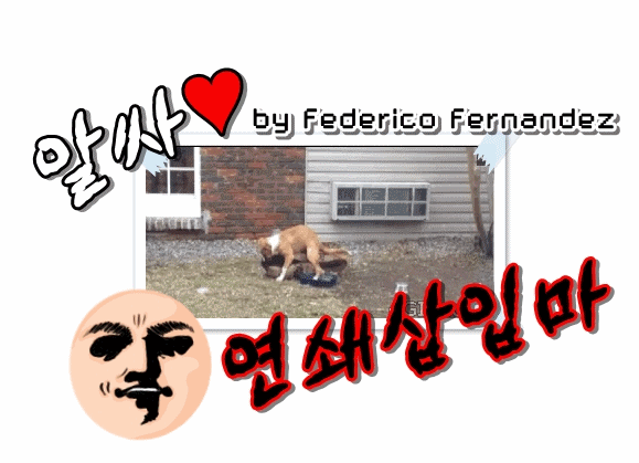 DJ 소다 몸매.gif | 인스티즈