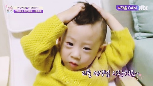 [반달친구] 이별 전 반달친구들이 위너에게 전하는 이야기 | 인스티즈