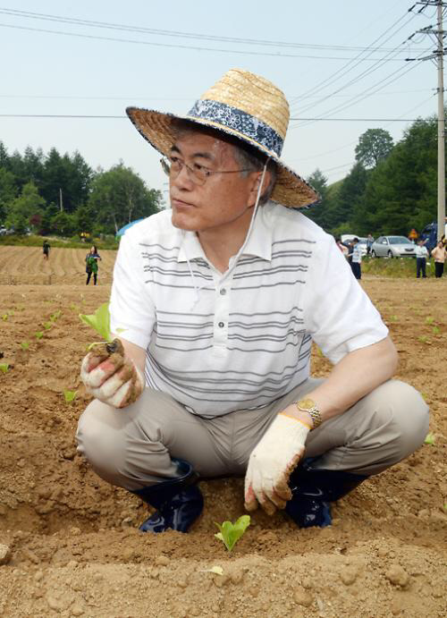🌿 농업왕 문재인 🌿 | 인스티즈