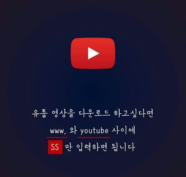 인생 꿀팁 | 인스티즈