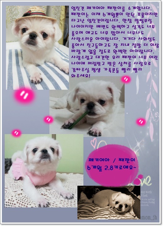 째깐이 이미지