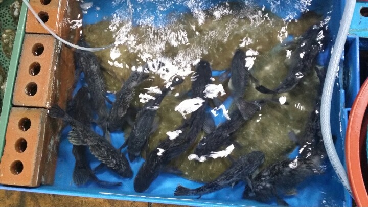 고흥녹동회타운 이미지