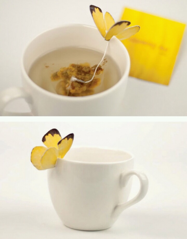 이쁜 티백(tea bag)들 | 인스티즈