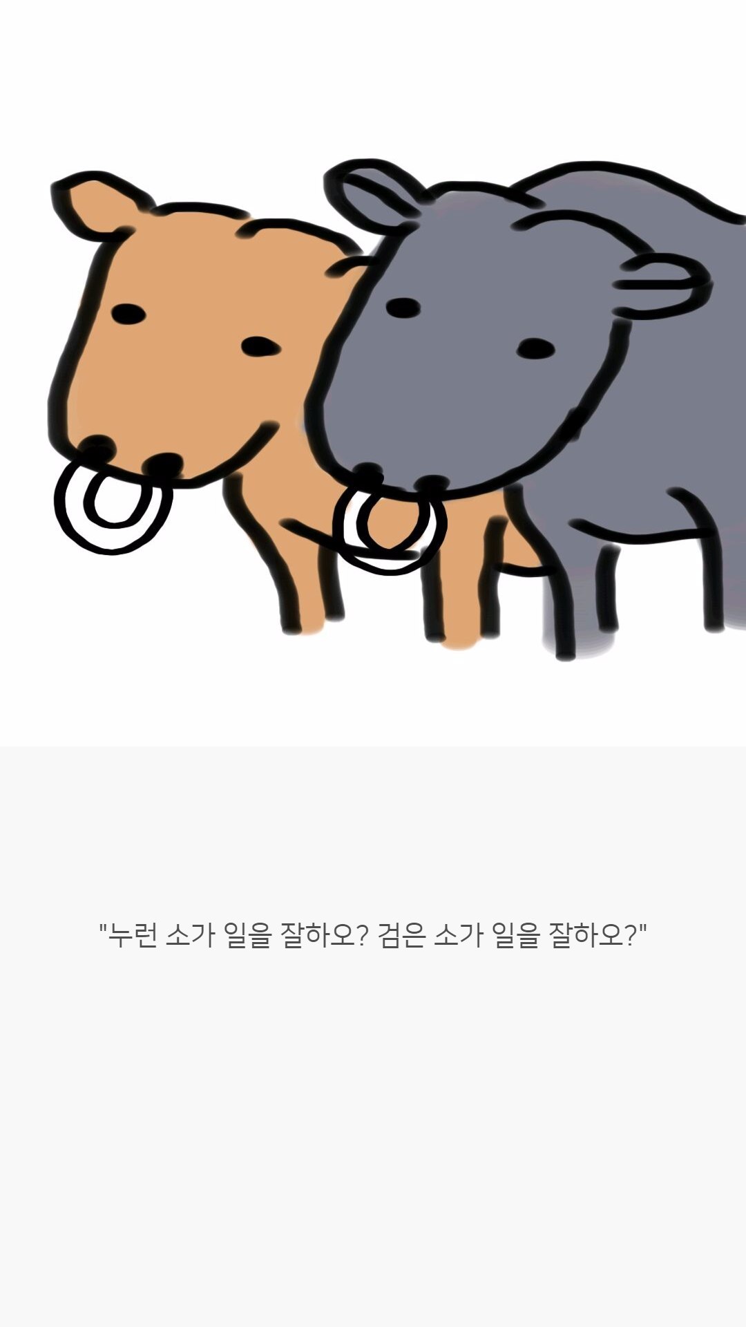 우리나라 한우는 왜 황색일까?jpg | 인스티즈