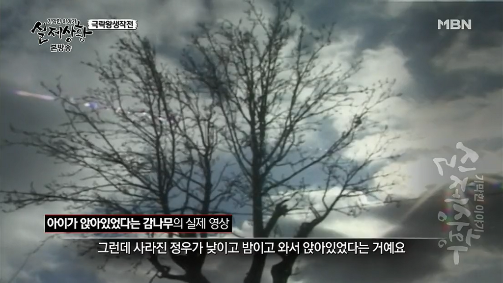 차가운 야산에 묻힌 12살 정우의 안타까운 사건 '기막힌 이야기 실제상황' (2) | 인스티즈