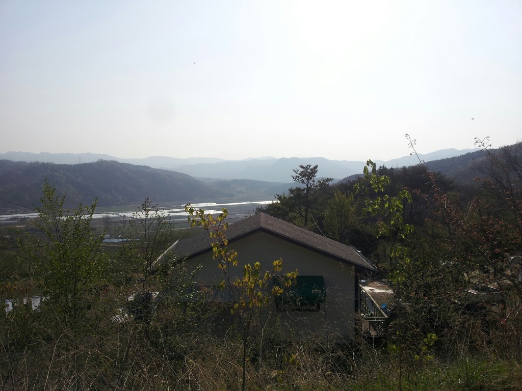 지리산산청벌꿀 이미지