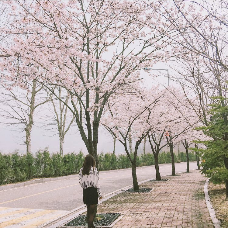손나은 인스타 | 인스티즈