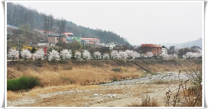 조은그린 이미지