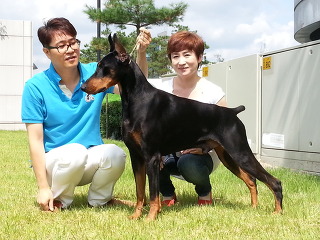 이루아 이미지