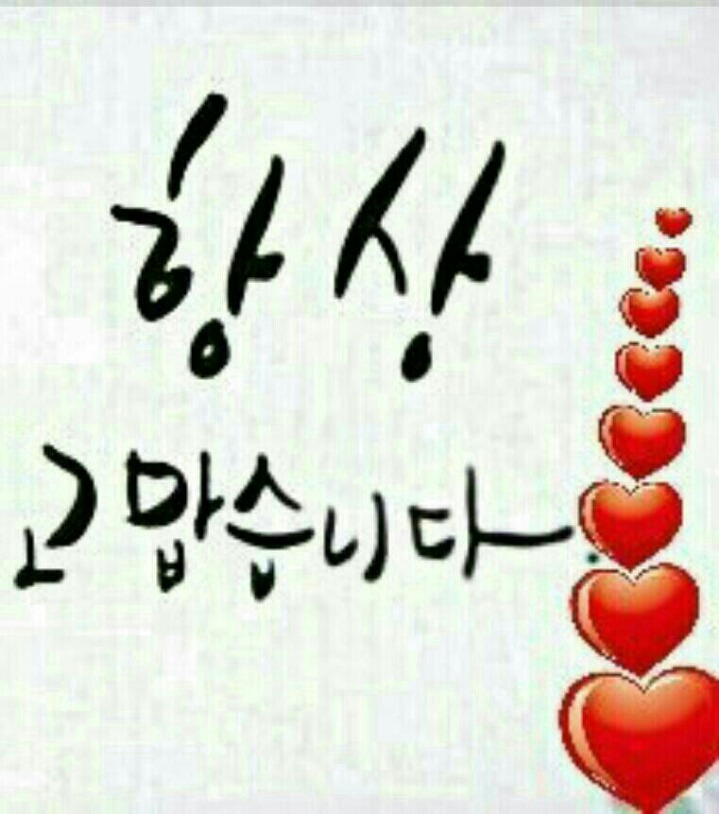 카르페디엠 이미지