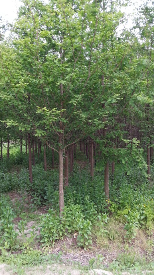 만평농장 이미지