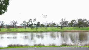 뱀 주고가는 새.gif | 인스티즈
