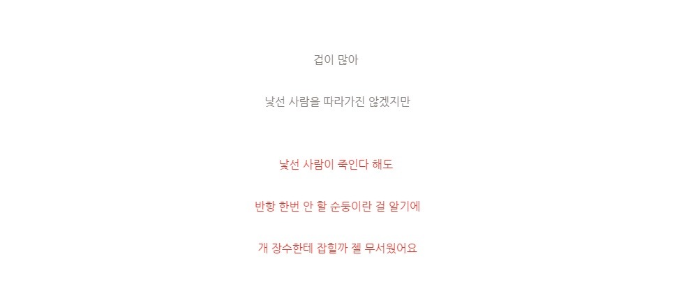 잃어버린 강아지를 누가 잡아먹음 | 인스티즈