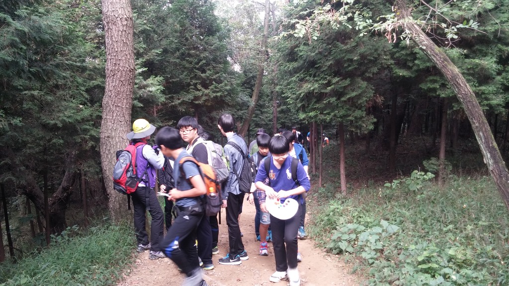 팔용중학교 이미지