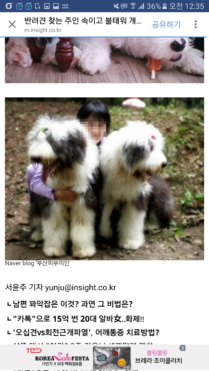 반려견 찾는 주인 속이고 불태워 개고기로 먹은 주민들 (사진) | 인스티즈