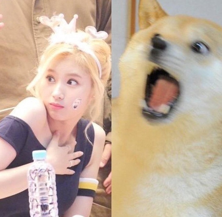 은 사나.jpgif | 인스티즈