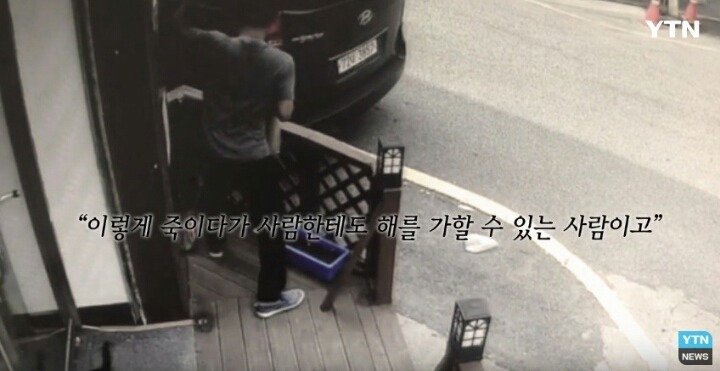 분노주의)웃는 얼굴로 새끼 고양이 내던지고 도망간 미친넘 | 인스티즈