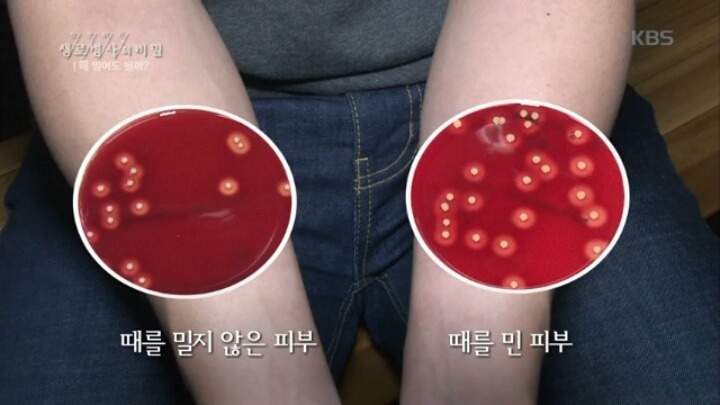 때밀기가 피부에 미치는 영향...jpg | 인스티즈