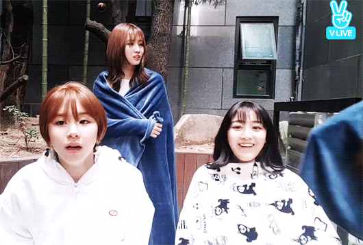 🇹🇼 쯔위 ㅋ | 인스티즈