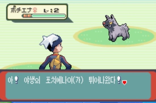 잉여로운 날 하면 재밌는 게임.jpg | 인스티즈