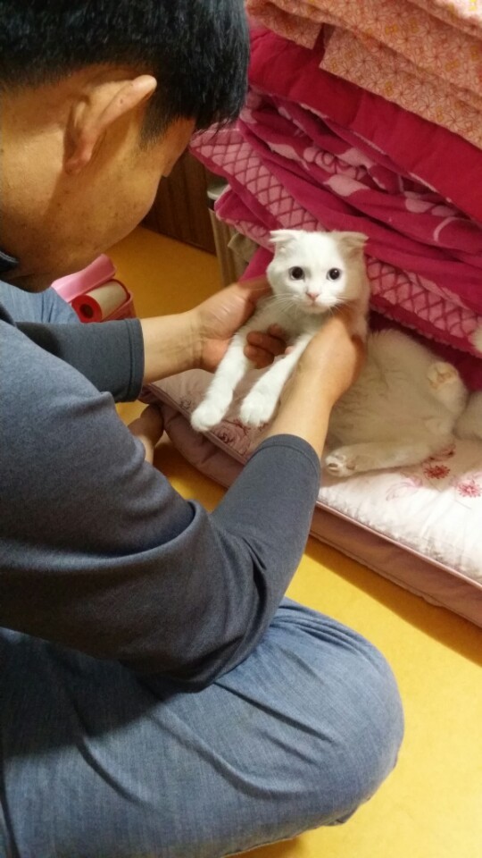 고양이는 요물이니 빨리 어디 보내버리라고 하셨던 여친 아버지 | 인스티즈