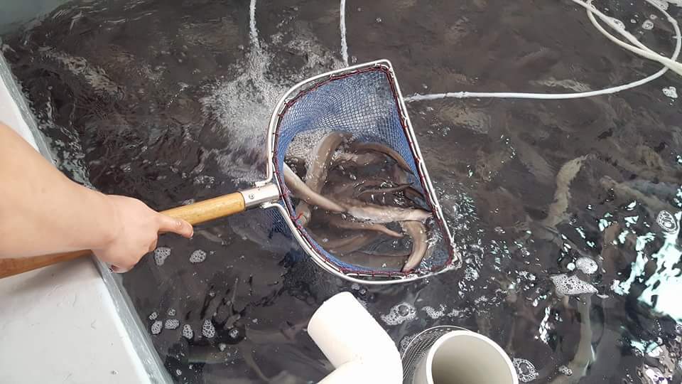 일번지수산 이미지